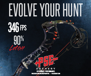 PSE 300×250